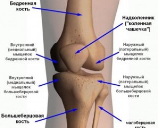 8 причин боли в коленях при приседании или вставании