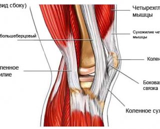 Отчего могут болеть мышцы над коленями?