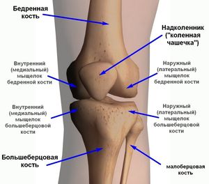Острая боль в колене - отчего она возникает, внезапная и пульсирующая боль в коленном суставе