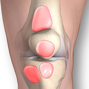 Расположение бурс коленного сустава